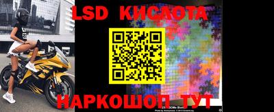прущие грибы Гусиноозёрск