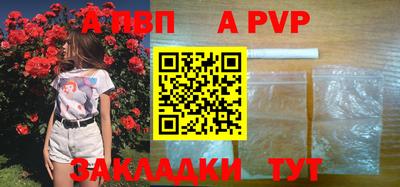 прущие грибы Гусиноозёрск