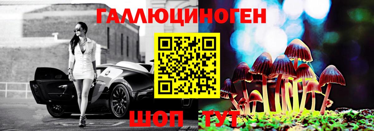 закладки  Галлюциногенные грибы Psilocybine cubensis  Вход с VPN  Владивосток 